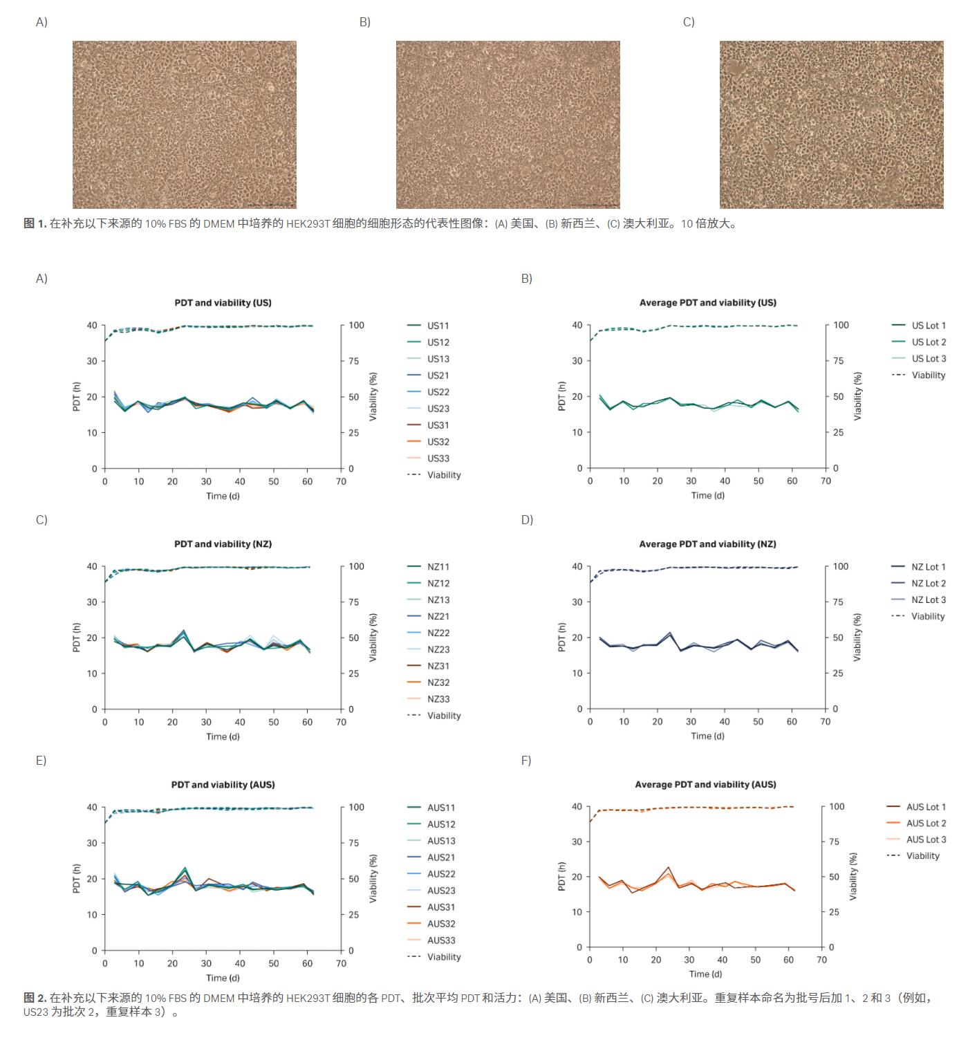 HyClone 优级胎牛血清 (FBS)，新西兰胎牛血清