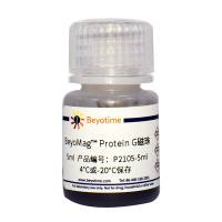 BeyoMag™ Protein G磁珠