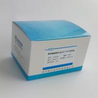 流行性腮腺炎病毒探针法荧光定量RT-PCR试剂盒