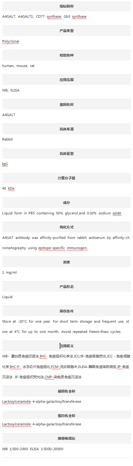 Anti-A4GALT Antibody