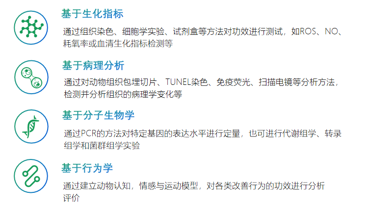 大小鼠模型实验/ 行为分析/ 科研服务/ 产品功效与安全评价