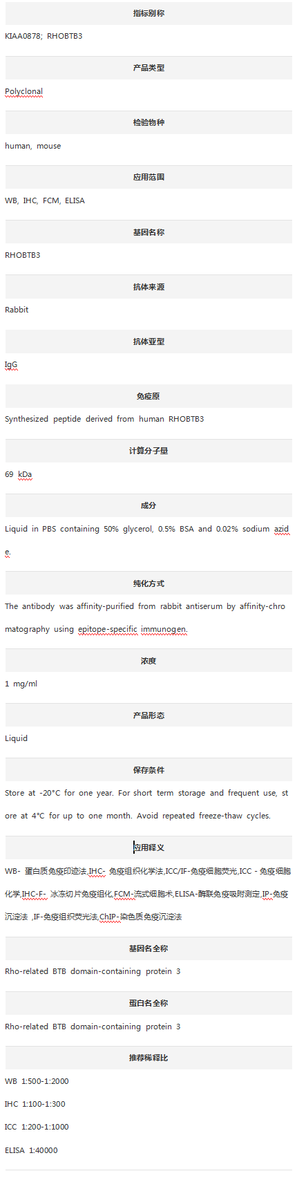 Anti-RHOBTB3 Antibody