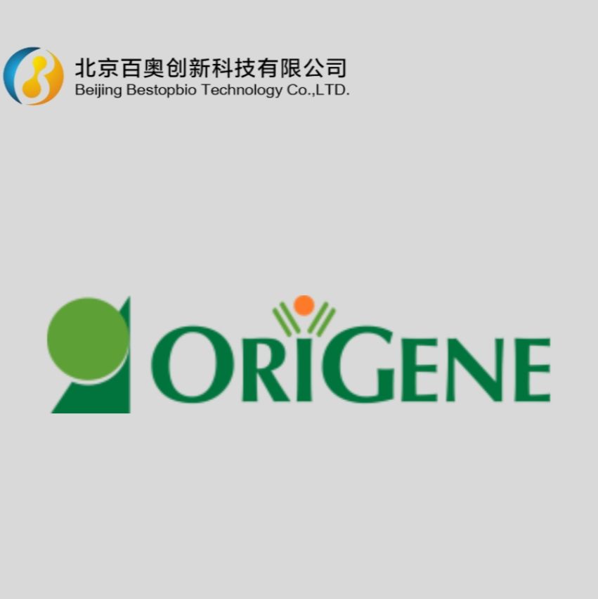 产品封面图