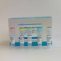 星座链球菌(S. constellatus)染料法荧光定量PCR试剂盒