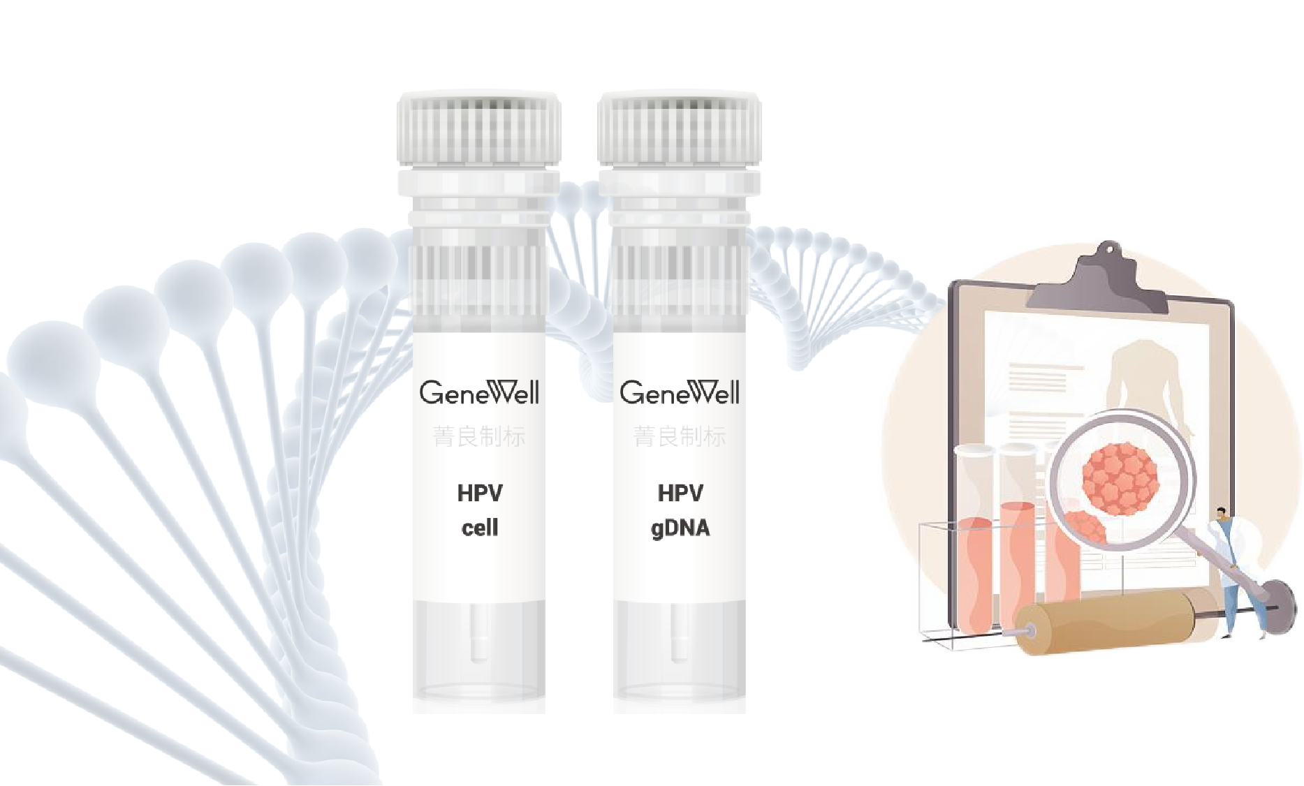 【产品升级】人乳头瘤病毒(HPV)质控品型别再扩充！