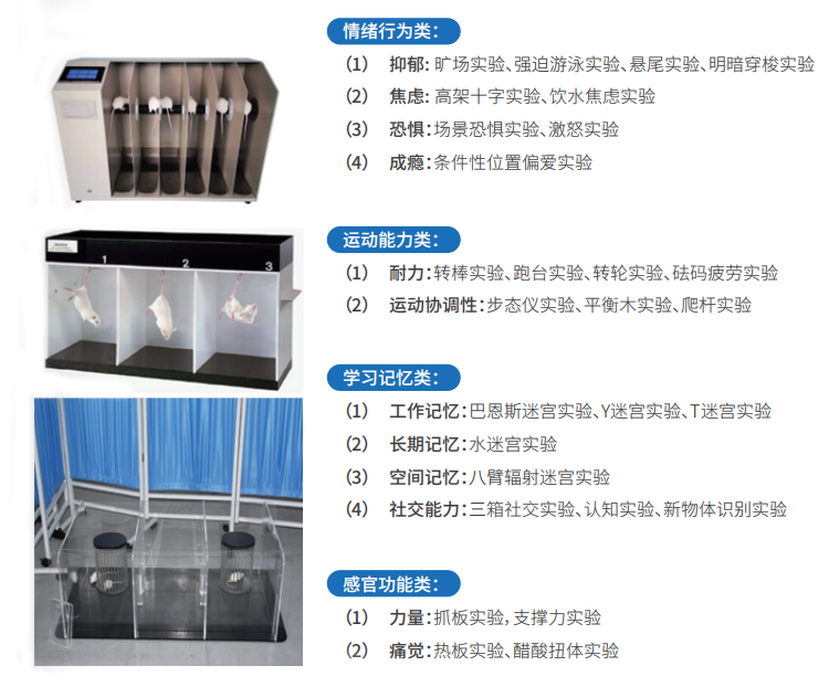 大小鼠模型实验/ 行为分析/ 科研服务/ 产品功效与安全评价
