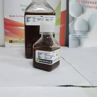 BioMag®Plus 山羊抗小鼠IgG磁珠