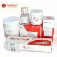 T1PhageResistant感受态细胞