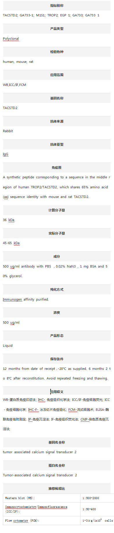 Anti-TROP2/TACSTD2 Antibody