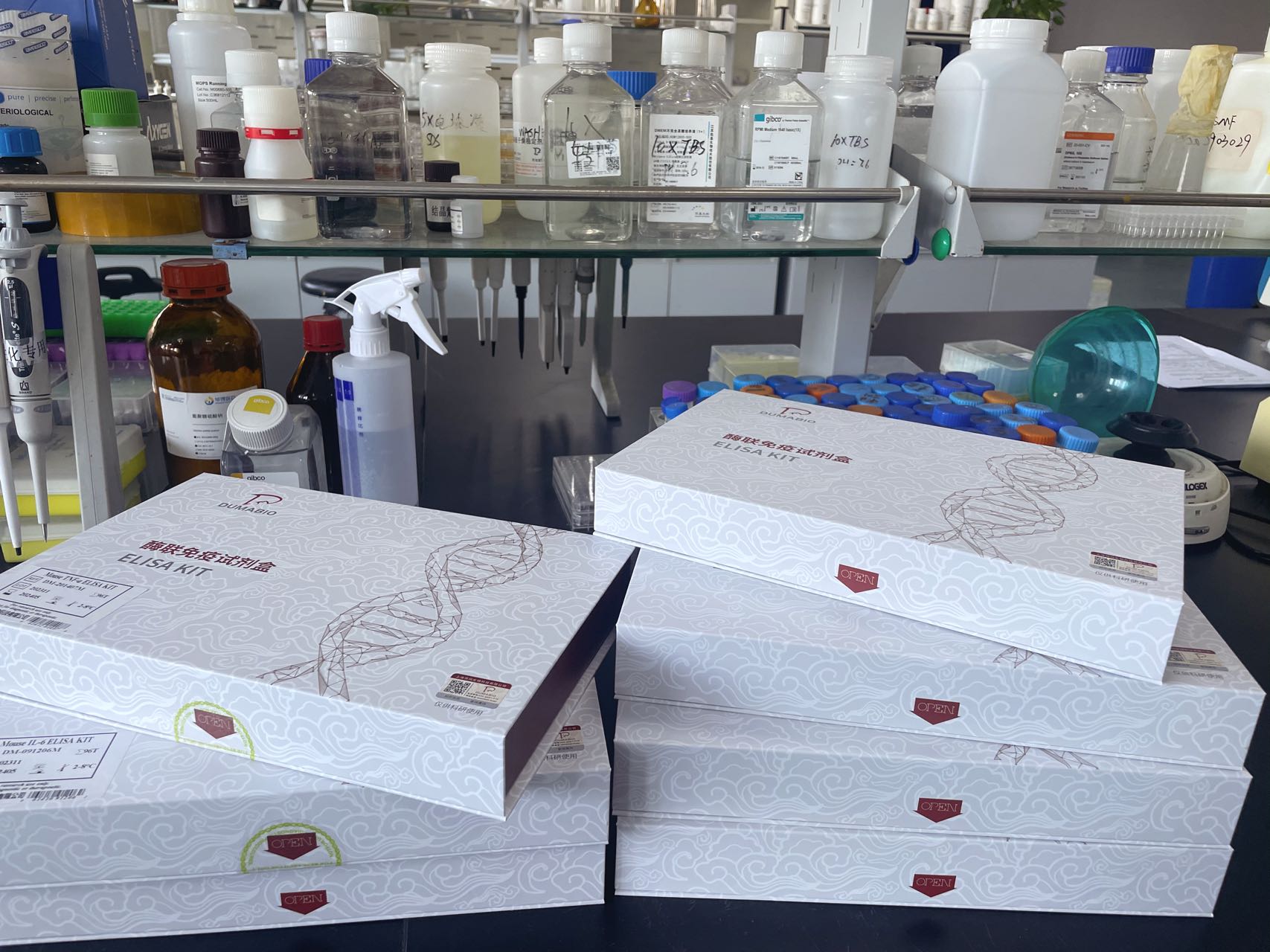 小鼠甲状腺过氧化物酶(TPO)ELISA试剂盒