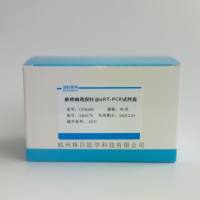 肠道病毒71型探针法荧光定量RT-PCR试剂盒