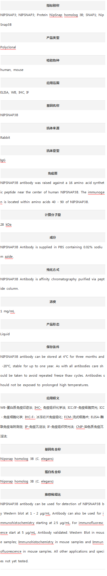 Anti-NIPSNAP3B Antibody