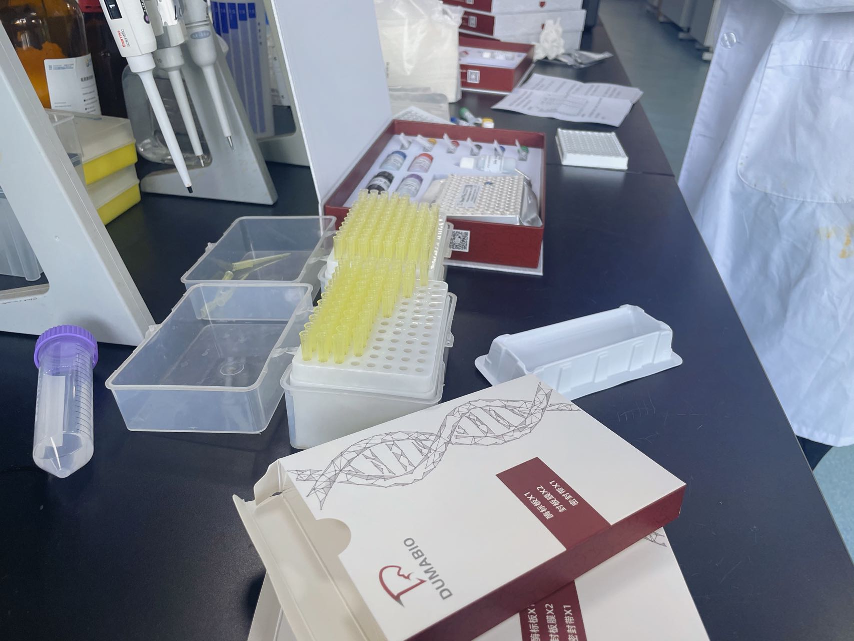 小鼠甲状腺过氧化物酶(TPO)ELISA试剂盒