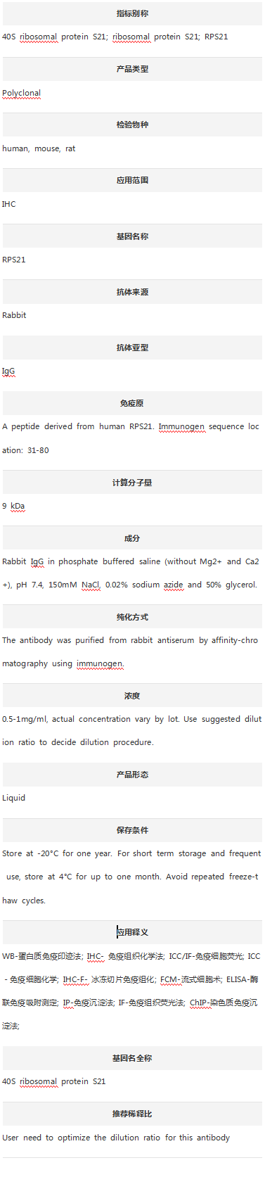 Anti-RPS21 Antibody