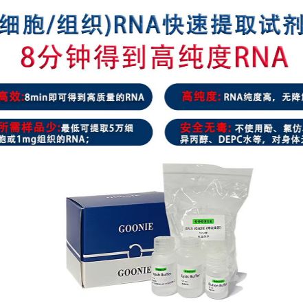 8分钟RNA快提试剂盒,柱式rna提取
