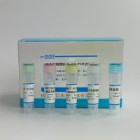 产酸克雷伯氏菌探针法荧光定量PCR试剂盒