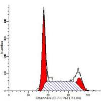 流式凋亡周期检测