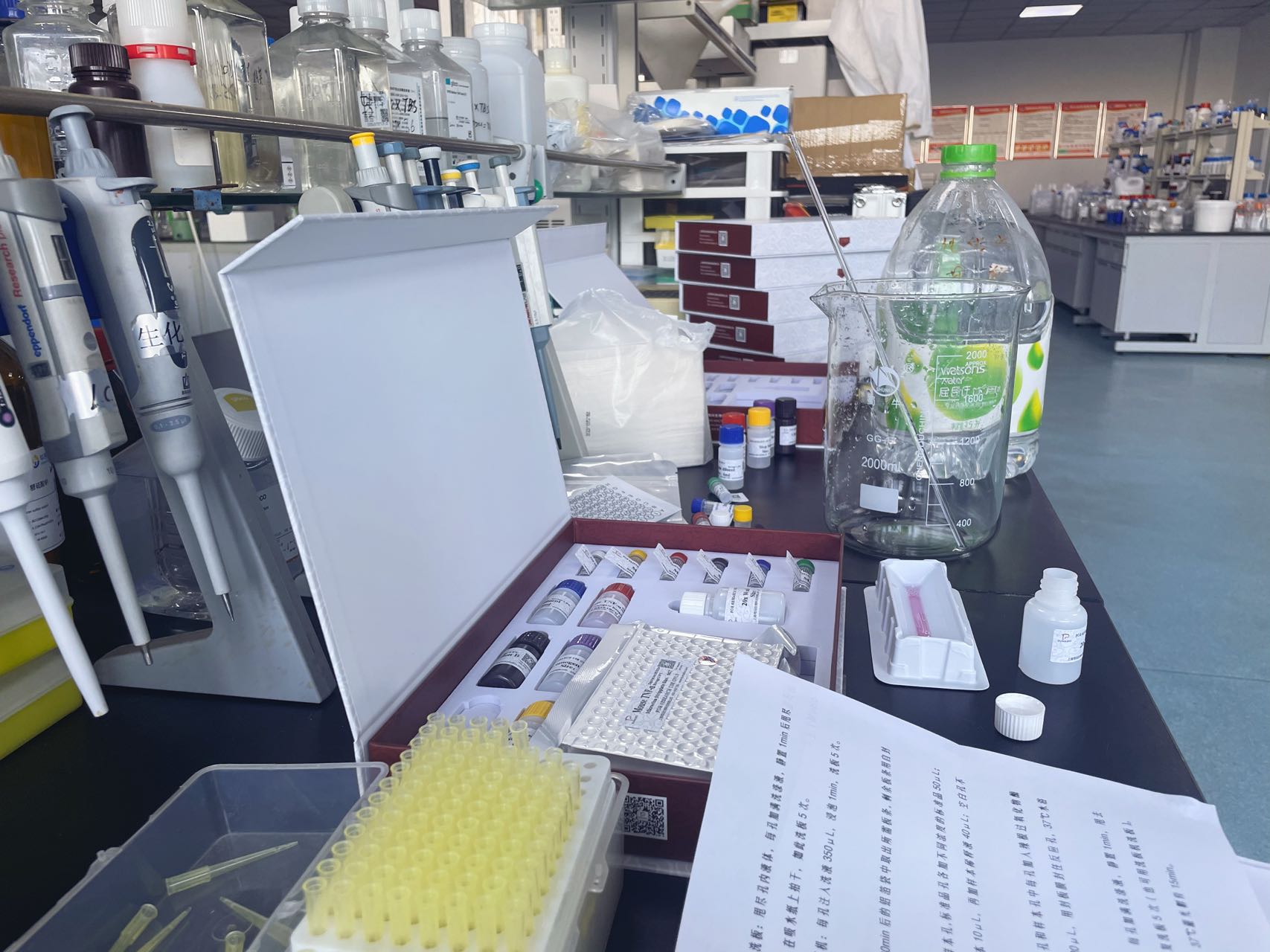 小鼠5羟色胺(5-HT)ELISA试剂盒