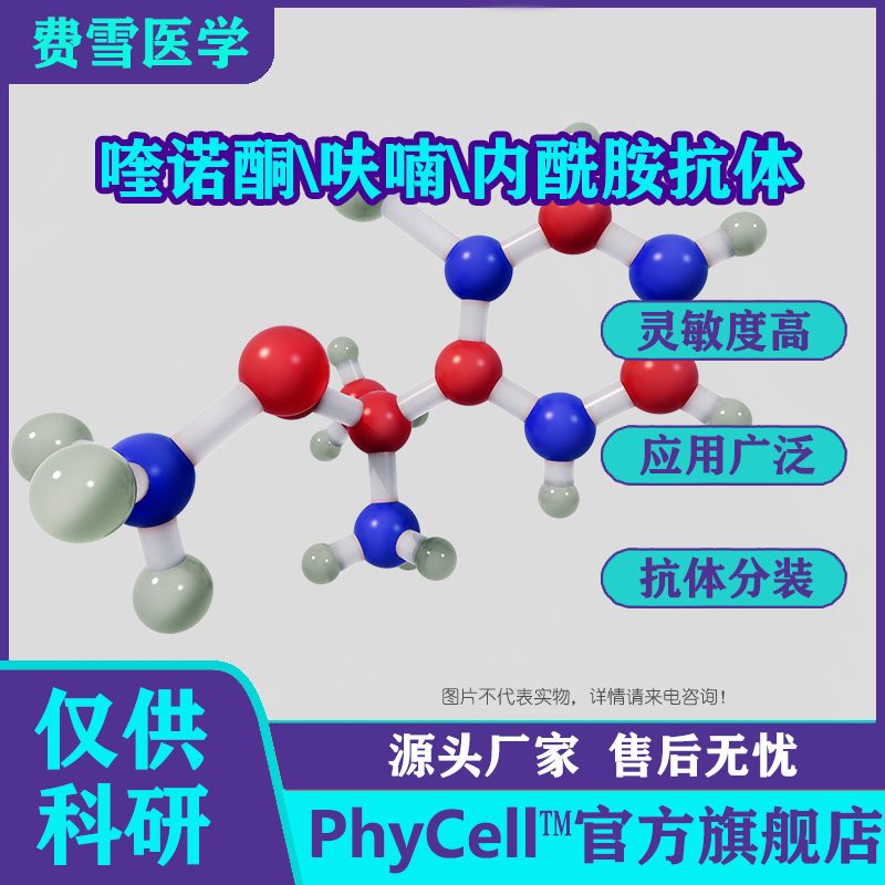 呋喃妥因代谢物单克隆抗体(41D12细胞株),2-CPAHD单克隆抗体