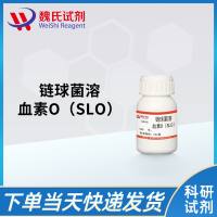 链球菌溶血素O（SLO）/Streptolysin O protein（SLO）