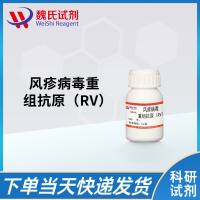风疹病毒重组抗原(RV)/Streptolysin O protein(SLO)