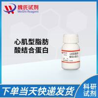 心肌型脂肪酸结合蛋白/Heart-type Fatty Acid Binding Protein