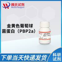 Staphylococal Protein（PBP2a）