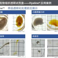 组织透明化技术服务
