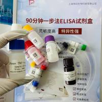 兔蛋白激酶A1α(PKA1α)ELISA试剂盒 