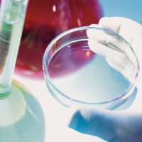 犬细胞胞液，美国原装进口