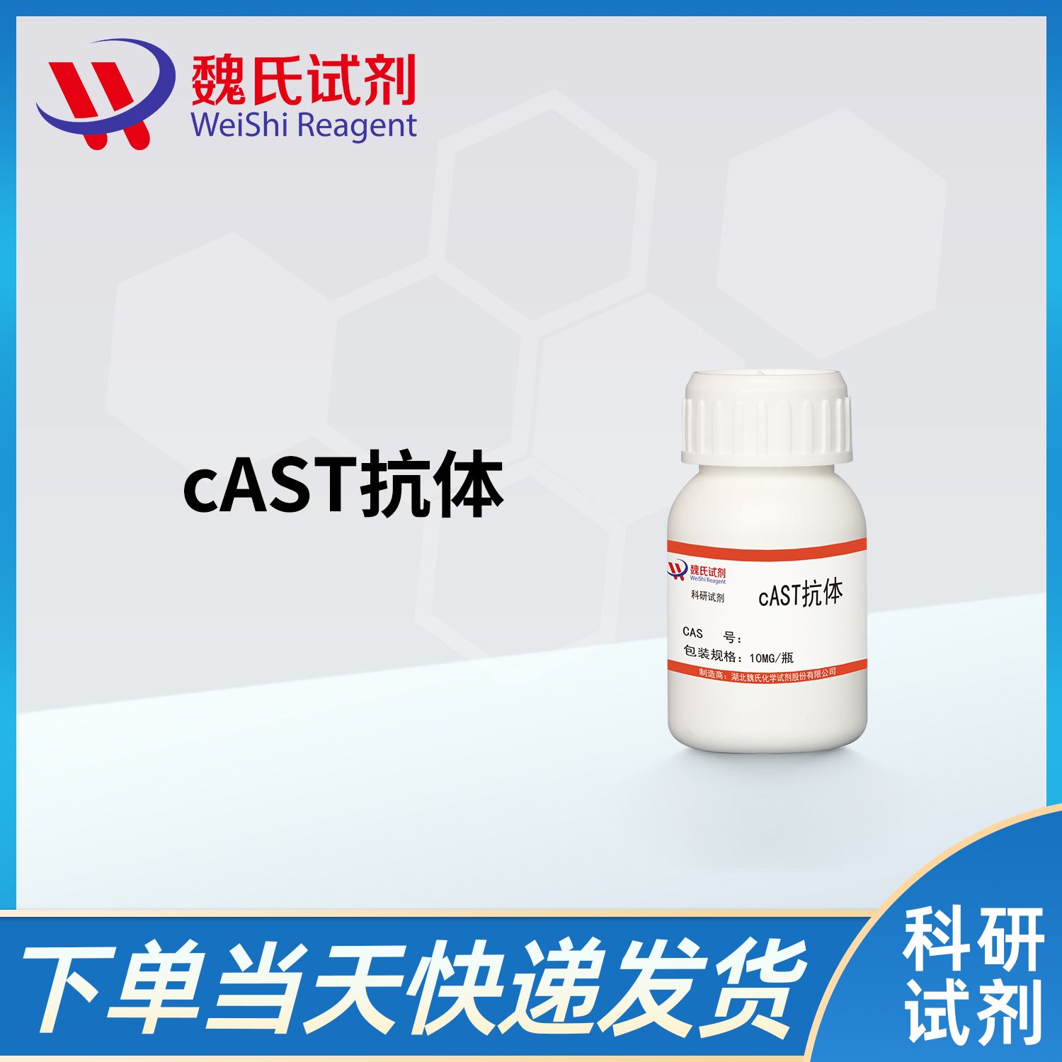 cAST抗体/Rabbit anti-Aspartate Aminotransferase IgG（cAST）