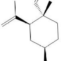 β-榄香烯515-13-9