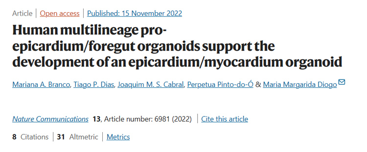 IF=16.6丨Nature Communications：人类多谱系前心外膜/前肠类器官可支持心外膜/心肌类器官的发育
