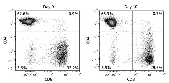 什么？cGMP培养基免费用！