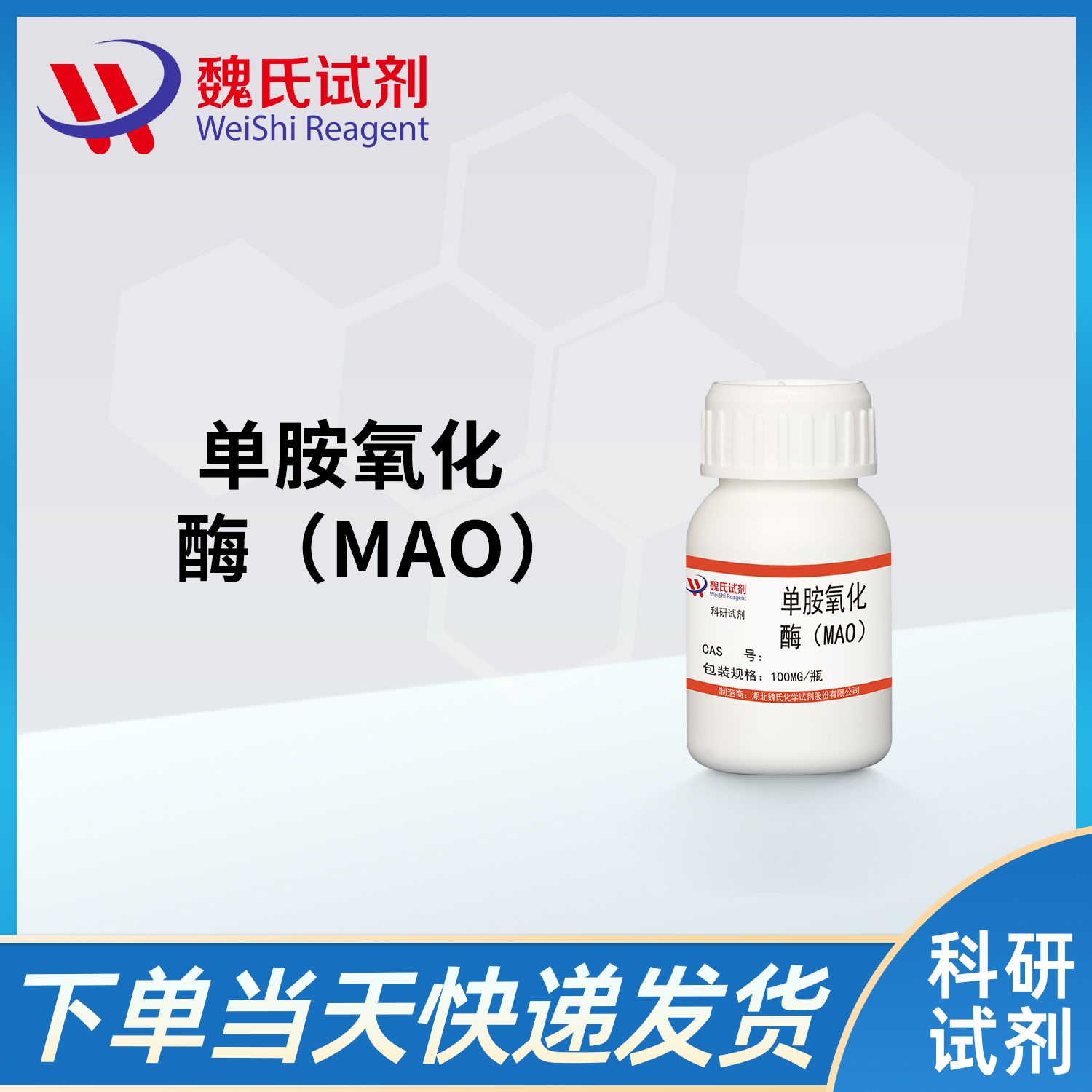 单胺氧化酶（MAO）/Monoamine oxidase