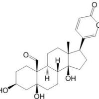 蟾蜍它里定465-90-7