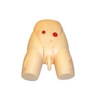 艾米立 高级男性导尿模型 IMY3035