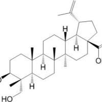 23-羟基白桦酸85999-40-2