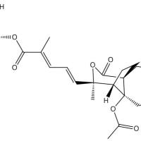 土荆皮乙酸苷98891-41-9