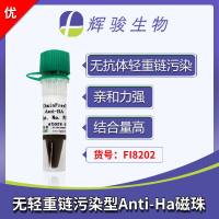 ChainFree® Anti-HA纳米抗体磁珠-无抗体污染/亲和力强-辉骏生物HA纳米抗体磁珠厂家