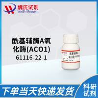 61116-22-1/酰基辅酶A氧化酶(ACO1)/CYL-COA OXIDASE