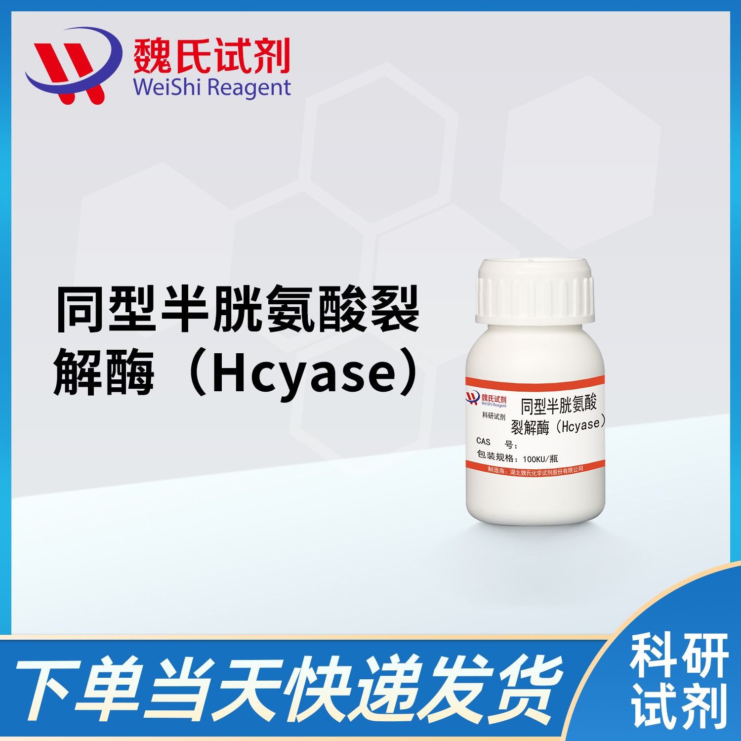 同型半胱氨酸裂解酶（Hcyase）/Homocysteine α,γ-Lyase (HCYase)
