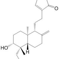 14-去氧穿心莲内酯4176-97-0