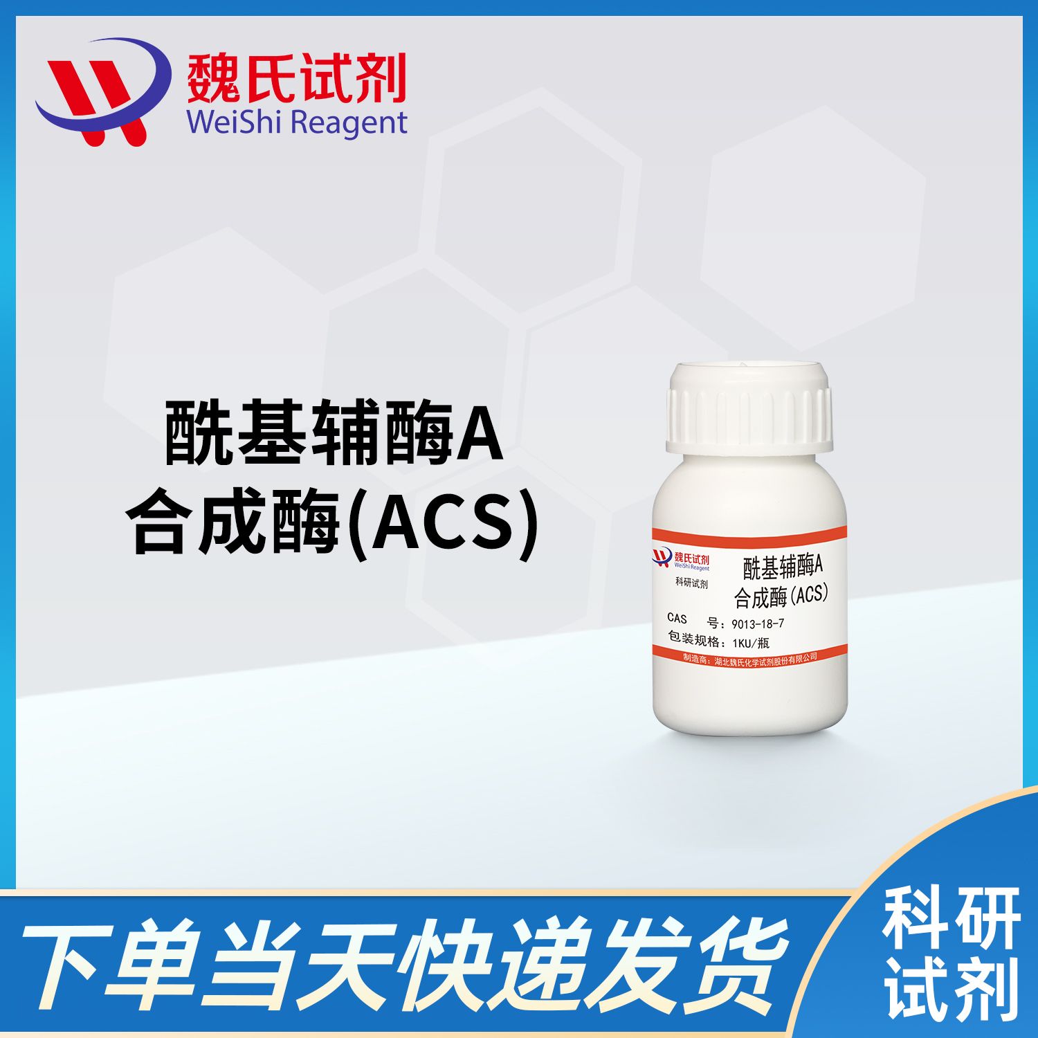 9013-18-7/酰基辅酶A合成酶(ACS)/ACYL-CoA SYNTHETASE