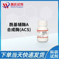 9013-18-7/酰基辅酶A合成酶(ACS)/ACYL-CoA SYNTHETASE