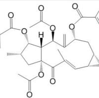 千金子素L2218916-51-9