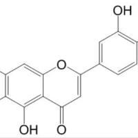 泽兰黄酮520-11-6