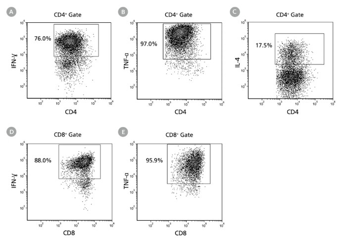什么？cGMP培养基免费用！