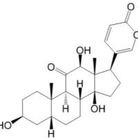 异沙蟾毒精17008-65-0