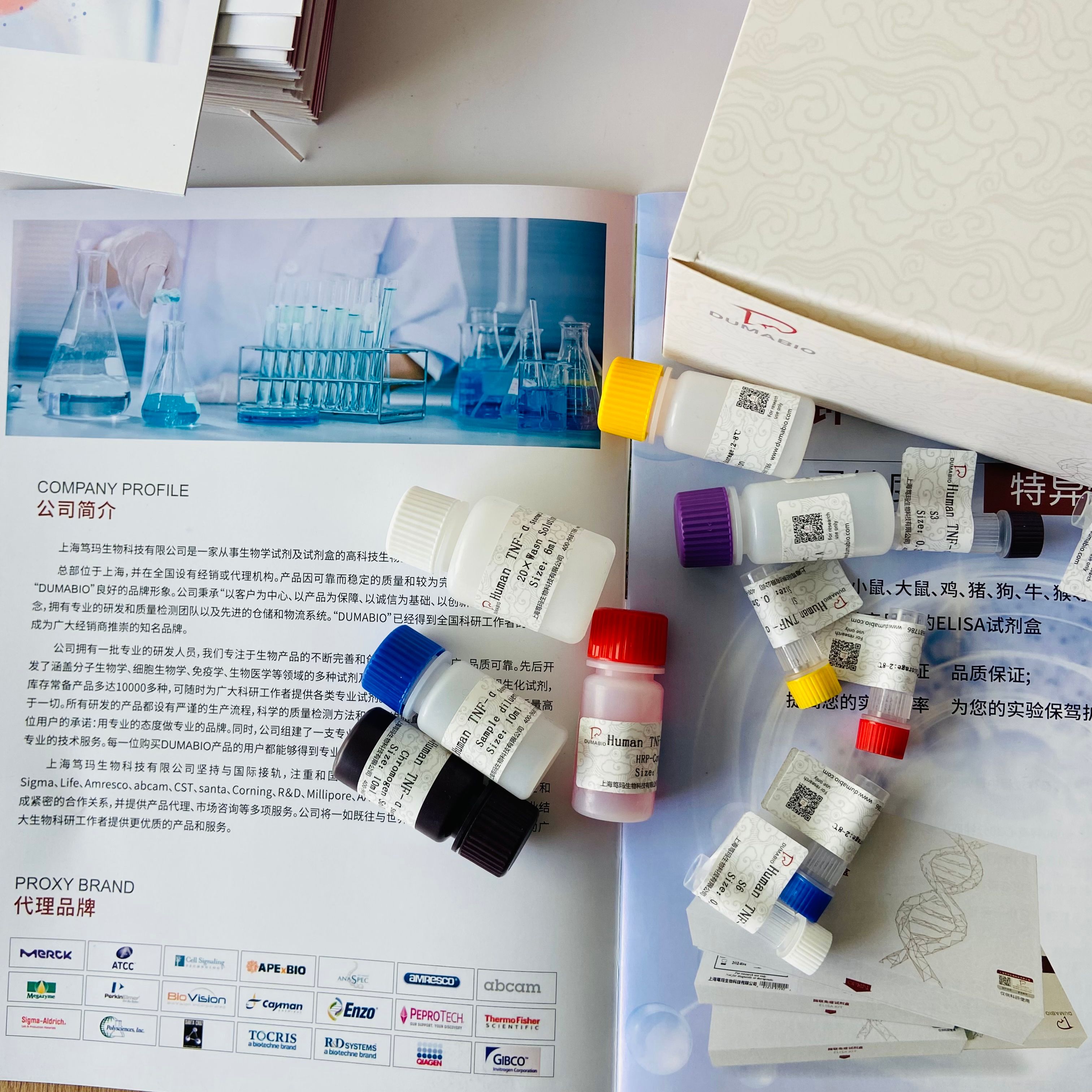 兔苏氨酰tRNA合成酶(TARS)ELISA试剂盒